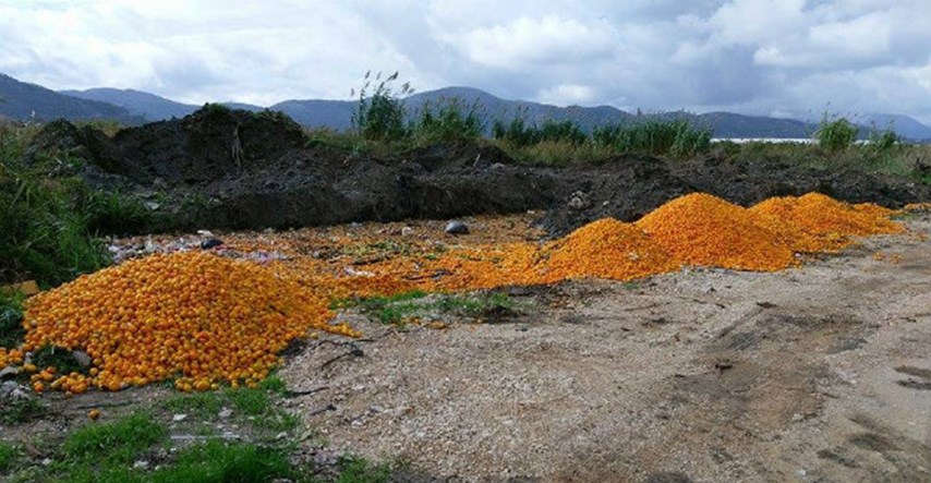 Otkrili smo zašto su bačene tone mandarina iako su jestive