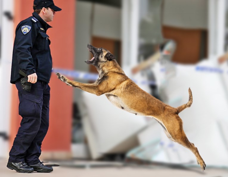 Policajac u Zadru pucao u psa koji mu je ugrizao kolegu