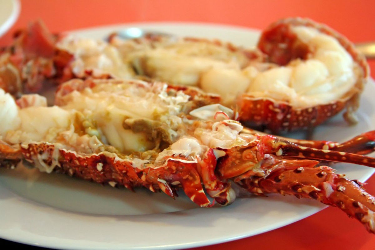 ŠKAMPI, DIVLJAČ I SKUPA VINA Rastrošnost makedonskih političara posramila bi i hrvatske uhljebe