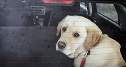 VIDEO Pogledajte što se događa kad psa ostavite samog u automobilu
