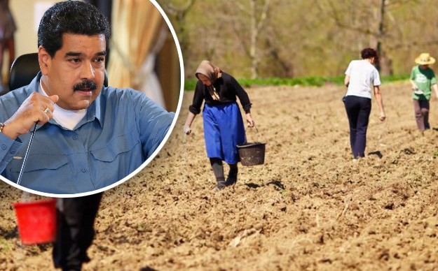 Socijalistička Venezuela uvodi prisilni rad na farmama za svoje građane