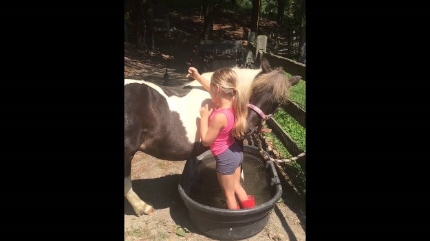 VIDEO Djevojčica i konjić: Ovako izgleda pravo prijateljstvo!