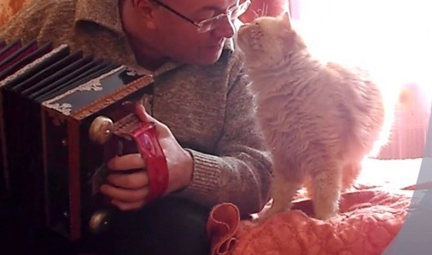 VIDEO Kad on zasvira harmoniku maca ga nagradi zagrljajima i pusama