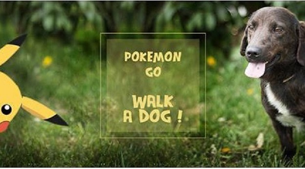 Igrate Pokemon GO? Dumovec vas poziva na šetanje Pokemon pasa