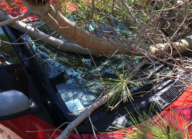 Na plaćenom parkingu mu stablo razbilo auto: Platio parkirnu kartu, ali za štetu nitko ne odgovara
