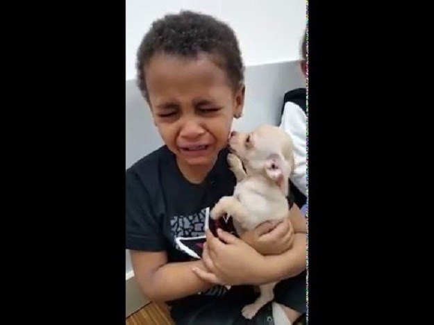 VIDEO Dječak se toliko razveselio psu da je zaplakao od sreće