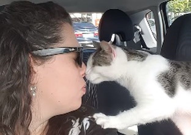 VIDEO Spasila mačka od sigurne smrti, a on joj pokazao neizmjernu zahvalnost