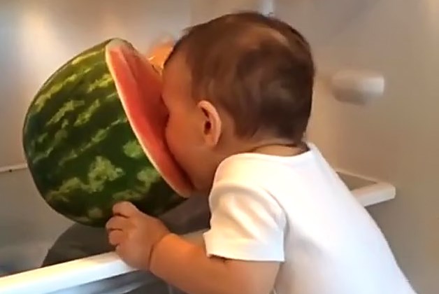 VIDEO Slatkica razgalila internet i svima pokazala kako se jede lubenica!