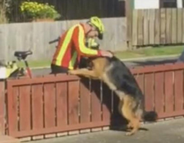 VIDEO Kamera snimila susret psa i poštara kakav se rijetko viđa
