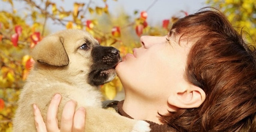 Od psa dobivate puse?! Znate li zašto psi ližu ljude?
