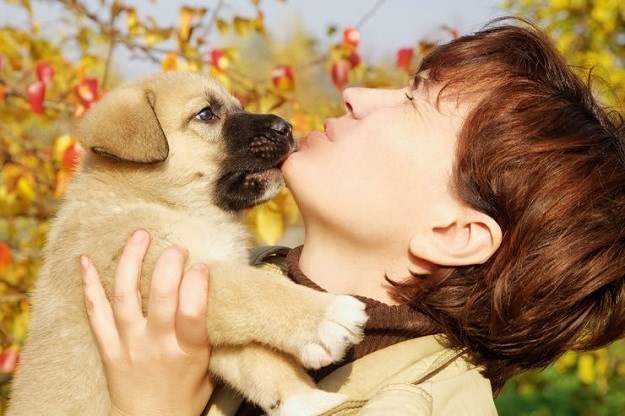 Od psa dobivate puse?! Znate li zašto psi ližu ljude?