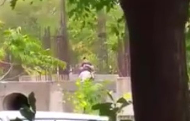 VIDEO Par u Mostaru snimljen tijekom oralnog seksa usred bijela dana?