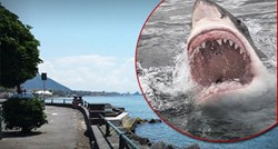 Crveni alarm u Trstu: Morski pas viđen pokraj plaže