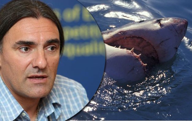 Stručnjak Alen Soldo za Index otkriva prijete li morski psi i našoj strani Jadrana