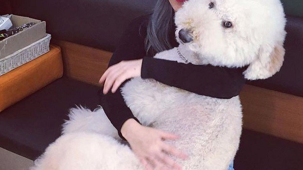 VIDEO  Je li ovo najveća pseća maza? Unatoč veličini uživa poput male bebe