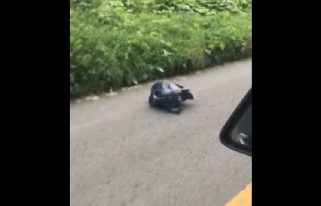 VIDEO Šokirala se onime što je pronašla u vreći za smeće
