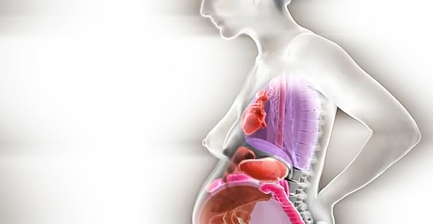 VIDEO Savršeniji prikaz što se doista događa s našim organima u trudnoći još niste vidjeli!