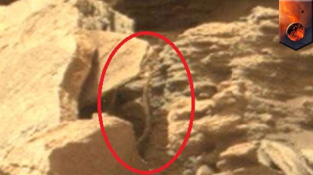 VIDEO Je li NASA na Marsu zaista snimila zmiju? Prosudite sami