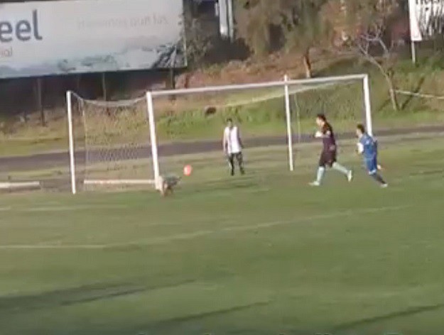 VIDEO Da je Dinamo imao ovakvog golmana ne bi primio 5 komada!