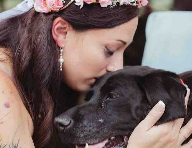 FOTO Teško bolesni labrador čudesno izdržao do vjenčanja svoje vlasnice