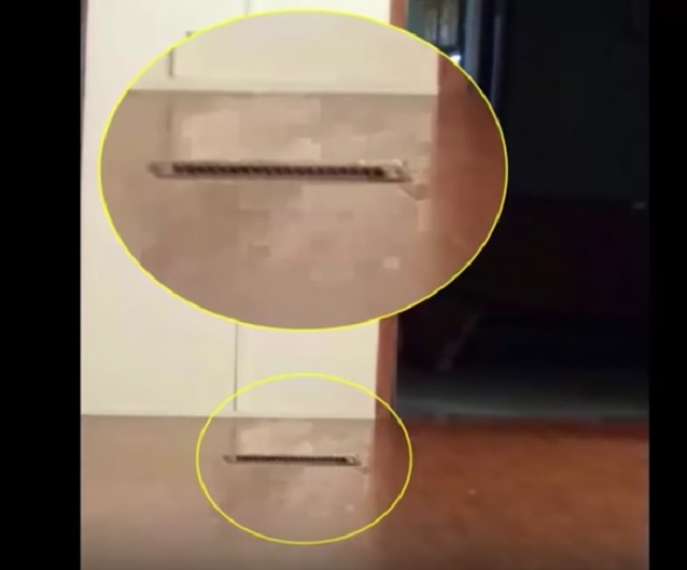 POGLEDAJTE Vlasnica tvrdi da je snimila duha svog uginulog psa!