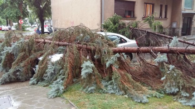 Šišljagić proglasio nepogodu za dio županije, nevrijeme napravilo 190 milijuna kuna štete