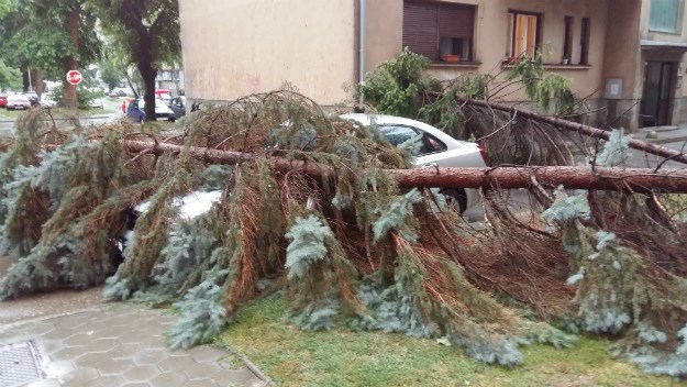FOTO Nevrijeme poharalo Osijek: Oluja čupala drveće i nosila krovove, bujice vode poplavile ulice