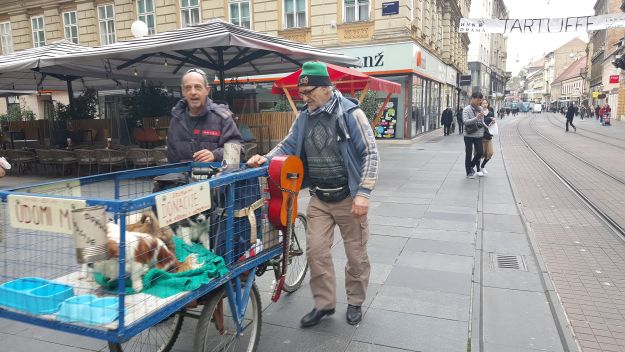 Ovaj Zagrepčanin svaki dan po gradu vozi napuštene štence i zbog toga često ima problema