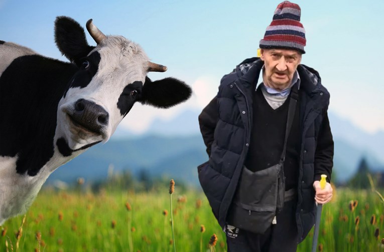 80-godišnji penzić zlostavljao kravu pa dobio zabranu prilaska svim farmama u Engleskoj