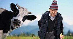 80-godišnji penzić zlostavljao kravu pa dobio zabranu prilaska svim farmama u Engleskoj