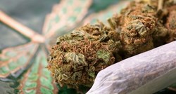 Kalifornija legalizira korištenje marihuane u rekreativne svrhe