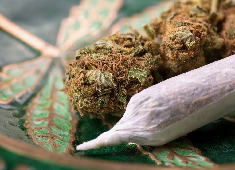 Kalifornija legalizira korištenje marihuane u rekreativne svrhe
