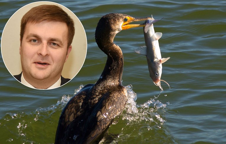 Ministar Ćorić opravdava odluku o pokolju ptica zaštićenih u EU