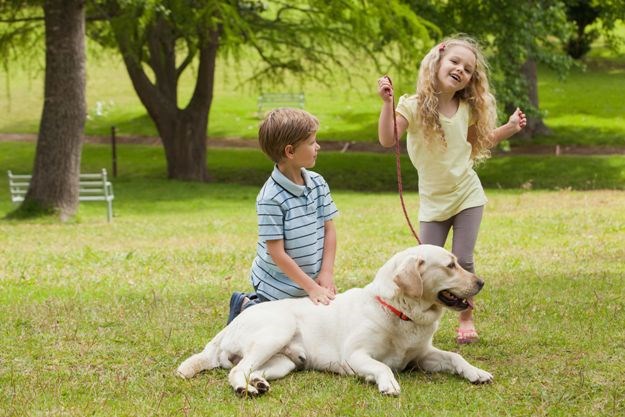 Srbija dobila prvu "pet friendly" školu