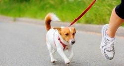5 savjeta: Naučite kako pravilno trčati sa psom