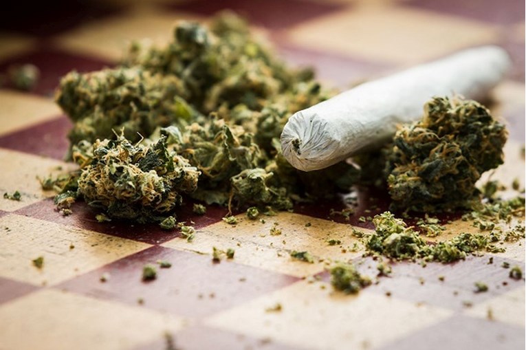 U bunkeru našli marihuanu vrijednu devet milijuna kuna