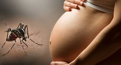 Trudnice budite na oprezu jer zika virus prijeti Europi