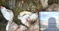 UZNEMIRUJUĆI VIDEO I FOTO Vlasti u Hercegovini pobile sve pse koje su našli pa ih bacili na smetlište