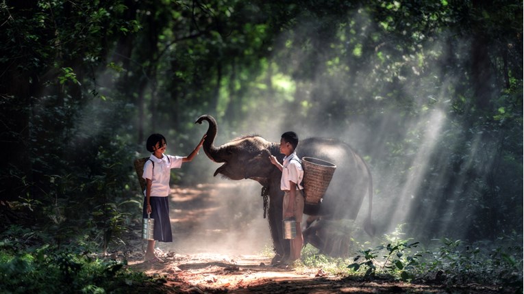 Slonovi za nas misle ono što mi mislimo za štence