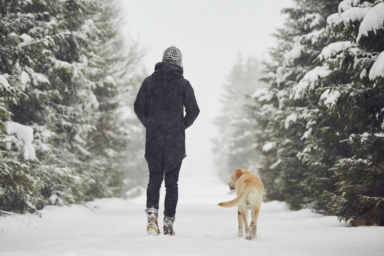 Zašto su zimske šetnje bolje od bilo kojih drugih?