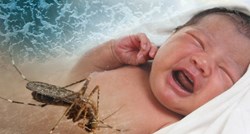 Rođeno prvo dijete u Europi s posljedicama od zika virusa