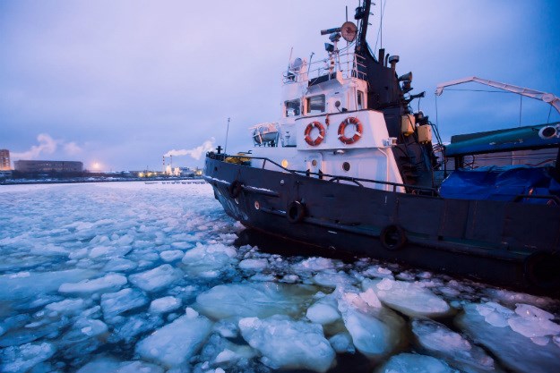 Na Arktiku su ove zime zabilježene rekordno visoke temperature, znanstvenici šokirani