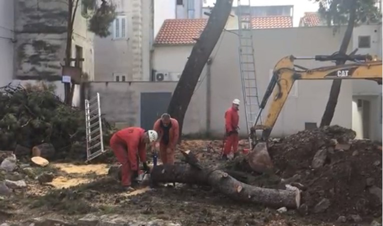 VIDEO Počelo rušenje stabala na zadnjoj zelenoj površini u Varošu: "Građevinska je izdana na suludi način"