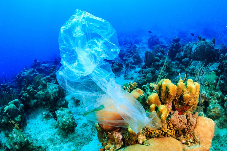 Enzim koji razgrađuje plastiku nova nada u borbi protiv zagađenja