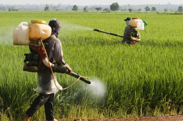 UN: Mala je vjerojatnost da glifosat, jedan od sastojaka velikog broja pesticida uzrokuje rak