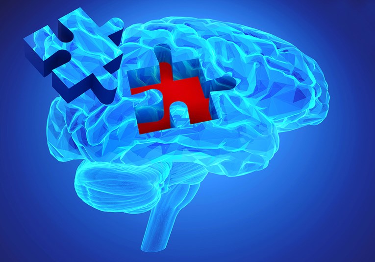 SPAS ZA MILIJUNE Znanstvenici oduševljeni otkrićem dva čudesna lijeka za mozak
