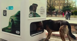 Hvalevrijedna inicijativa: U Istanbulu postoji automat koji hrani pse i mačke lutalice