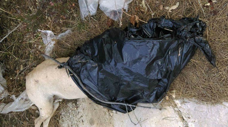 UZNEMIRUJUĆE FOTOGRAFIJE Manijak kod Zadra usmrtio psa pa ga bacio uz cestu u plastičnoj vreći