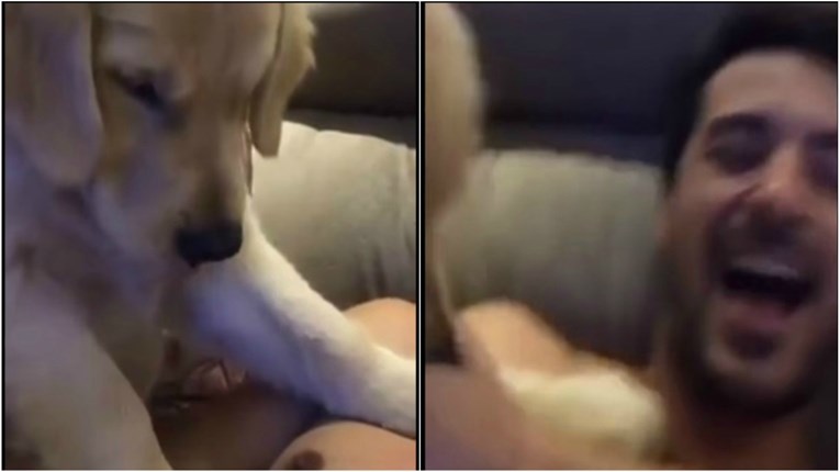 VIDEO Ovaj pas htio je dobiti hranu od vlasnika na vrlo čudan način
