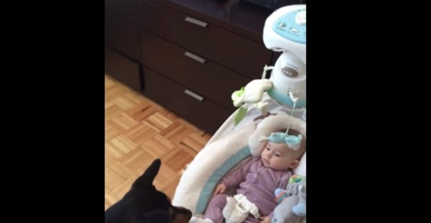 Video: Kad pas uspavljuje bebu bolje nego mama i tata